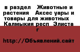  в раздел : Животные и растения » Аксесcуары и товары для животных . Калмыкия респ.,Элиста г.